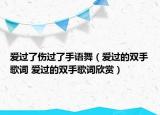 爱过了伤过了手语舞（爱过的双手歌词 爱过的双手歌词欣赏）