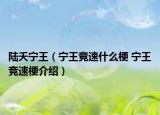 陆夭宁王（宁王竞速什么梗 宁王竞速梗介绍）