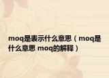 moq是表示什么意思（moq是什么意思 moq的解释）