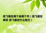 岳飞墓在哪个省哪个市（岳飞墓在哪里 岳飞墓在什么地方）