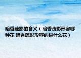 暗香疏影的含义（暗香疏影形容哪种花 暗香疏影形容的是什么花）