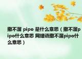撒不溜 pipo 是什么意思（撒不溜pipo什么意思 网络语撒不溜pipo什么意思）