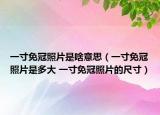 一寸免冠照片是啥意思（一寸免冠照片是多大 一寸免冠照片的尺寸）
