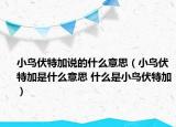 小鸟伏特加说的什么意思（小鸟伏特加是什么意思 什么是小鸟伏特加）