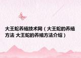 大王蛇养殖技术网（大王蛇的养殖方法 大王蛇的养殖方法介绍）