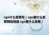 cgx什么意思呀（cgx是什么意思网络用语 cgx是什么意思）