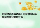 向量相乘怎么运算（向量相乘公式 向量相乘公式是什么）