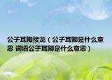 公子耳卿接龙（公子耳卿是什么意思 词语公子耳卿是什么意思）
