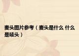 麦头图片参考（麦头是什么 什么是唛头）