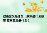 政策含义是什么（政策是什么意思 政策意思是什么）