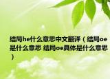 结局he什么意思中文翻译（结局oe是什么意思 结局oe具体是什么意思）