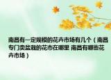 南昌有一定规模的花卉市场有几个（南昌专门卖盆栽的花市在哪里 南昌有哪些花卉市场）