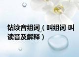 钻读音组词（叫组词 叫读音及解释）