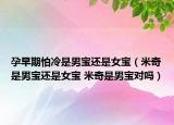 孕早期怕冷是男宝还是女宝（米奇是男宝还是女宝 米奇是男宝对吗）
