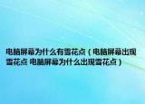 电脑屏幕为什么有雪花点（电脑屏幕出现雪花点 电脑屏幕为什么出现雪花点）
