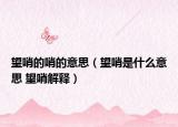 望哨的哨的意思（望哨是什么意思 望哨解释）