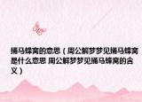 捅马蜂窝的意思（周公解梦梦见捅马蜂窝是什么意思 周公解梦梦见捅马蜂窝的含义）