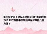 能量保护罩（蚂蚁森林能量保护罩获取的方法 蚂蚁森林中获取能量保护罩的几种方法）