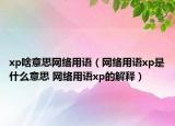 xp啥意思网络用语（网络用语xp是什么意思 网络用语xp的解释）