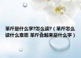 革斤是什么字?怎么读?（革斤怎么读什么意思 革斤合起来是什么字）