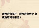 蓝瘦香菇图片（蓝瘦香菇出处 蓝瘦香菇词语来源）