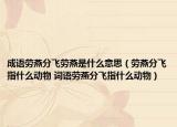 成语劳燕分飞劳燕是什么意思（劳燕分飞指什么动物 词语劳燕分飞指什么动物）
