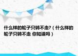 什么样的轮子只转不走?（什么样的轮子只转不走 你知道吗）