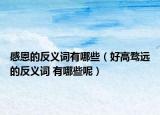感恩的反义词有哪些（好高骛远的反义词 有哪些呢）