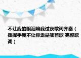 不让我的眼泪陪我过夜歌词齐秦（挥挥手我不让你走是哪首歌 完整歌词）