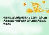 使用属性强化技能火焰符咒怎么获得（艾尔之光火焰的结晶体属性与效果 艾尔之光的火焰结晶体效果）