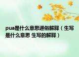 pua是什么意思通俗解释（生写是什么意思 生写的解释）