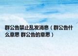 群公告禁止乱发消息（群公告什么意思 群公告的意思）