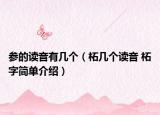 参的读音有几个（柘几个读音 柘字简单介绍）