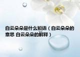 白云朵朵是什么短语（白云朵朵的意思 白云朵朵的解释）