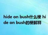 hide on bush什么梗 hide on bush的梗解释