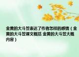 金黄的大斗笠表达了作者怎样的感情（金黄的大斗笠课文概括 金黄的大斗笠大概内容）