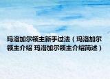玛洛加尔领主新手过法（玛洛加尔领主介绍 玛洛加尔领主介绍简述）