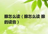 腺怎么读（腺怎么读 腺的读音）