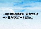 一字高跟鞋细跟凉鞋（林海无边打一字 林海无边打一字是什么）