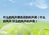 什么的风声填合适的拟声词（什么的风声 什么的风声拟声词）