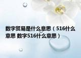 数字贸易是什么意思（516什么意思 数字516什么意思）