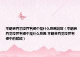 平明寻白羽没在石棱中是什么意思简写（平明寻白羽没在石棱中是什么意思 平明寻白羽没在石棱中的解释）