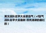 英文战队名字大全要霸气（cf霸气战队名字大全最新 透亮清澈的最红的）
