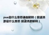 pua是什么意思通俗解释（碧波浩渺是什么意思 碧波浩渺解释）