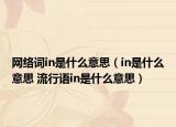 网络词in是什么意思（in是什么意思 流行语in是什么意思）