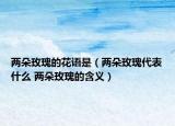 两朵玫瑰的花语是（两朵玫瑰代表什么 两朵玫瑰的含义）