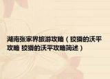 湖南张家界旅游攻略（狡猾的沃平攻略 狡猾的沃平攻略简述）