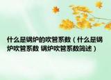 什么是锅炉的吹管系数（什么是锅炉吹管系数 锅炉吹管系数简述）
