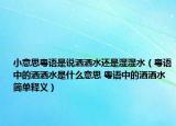 小意思粤语是说洒洒水还是湿湿水（粤语中的洒洒水是什么意思 粤语中的洒洒水简单释义）