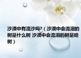 沙漠中有流沙吗?（沙漠中会流泪的树是什么树 沙漠中会流泪的树是啥树）